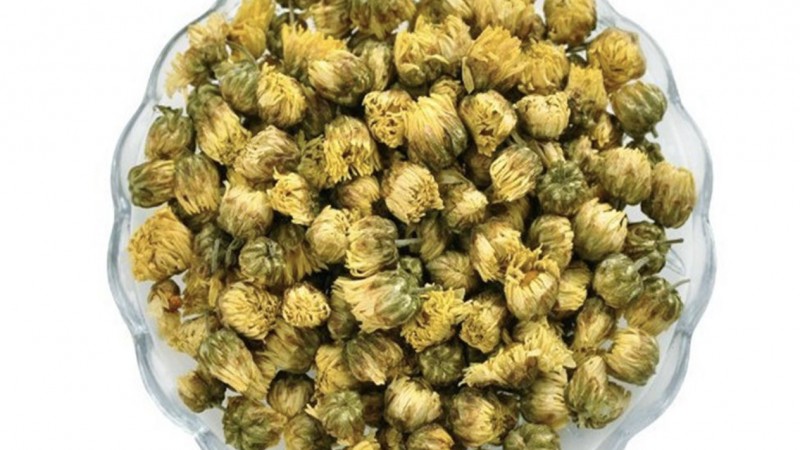 五素生活_菊花茶